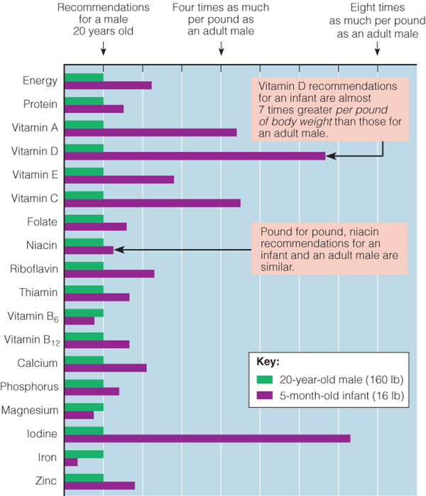<p></p><p>•Energy nutrients, vitamins A and D, calcium, and water are of special importance</p>