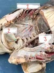 <p>what is 1?</p>