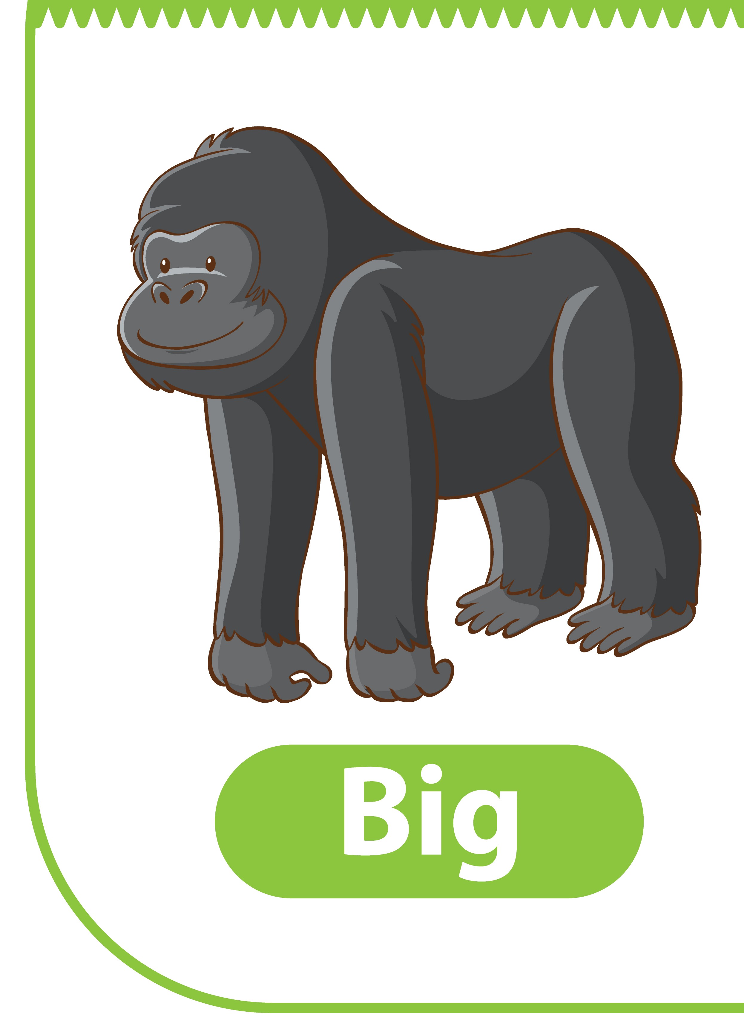 <p>Big</p>