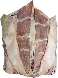 <p>Rectus Abdominis Muscle</p><p>Origin: Pubic symphysis, pubic crest</p><p>Insertion: Xiphoid process and costal cartilage of ribs 5-7. (3 tendinous intersections within the muscle of the belly)</p><p>Innervation: Ventral rami of lower 6 thoracic spinal nerves</p><p>Function: Flex trunk, support and compress abdominal contents</p>