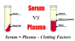 <p>serum = plasma - clotting factors</p>