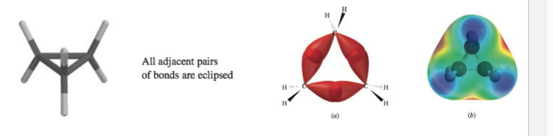 <p>bent and derived from the angled overlap of sp3 hybrids</p><p>rotation is impossible</p><p>strong sp3 sp3 sigma bonds are not possible. orbitals cannot be properly aligned</p>