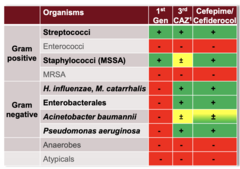 <p>broad gram-negatives including P. aeruginosa; cefiderocol also targets difficult MDR gram-negatives such as A. baumannii</p>