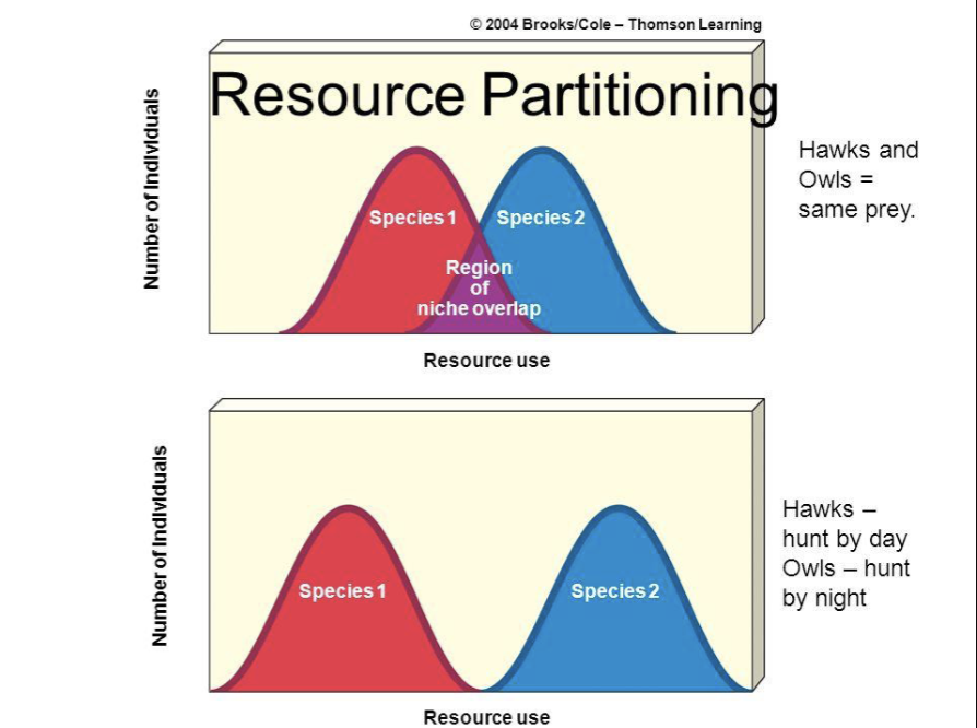 <ul><li><p>Leads to <strong>resource partitioning</strong></p></li><li><p>When two or more organisms use a portion of same resource simultaneously</p></li><li><p>Competition may force species to restrict their use of space, range, of food, etc</p></li></ul><p></p>