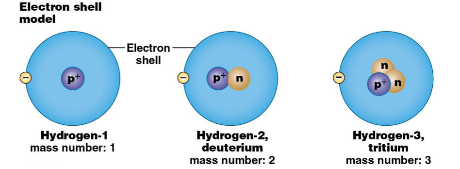 <p>isotopes are atoms with ______ and therefore have a different ______</p>