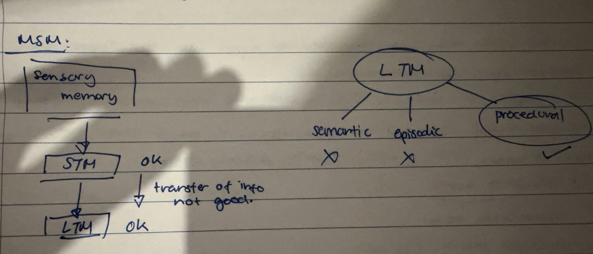 <ul><li><p>gave deeper understanding of memory than MSM can explain</p></li><li><p>although he <strong><u>couldn’t create new semantic + episodic memories, he could still create + retrieve procedural memories</u></strong></p></li></ul><p></p>