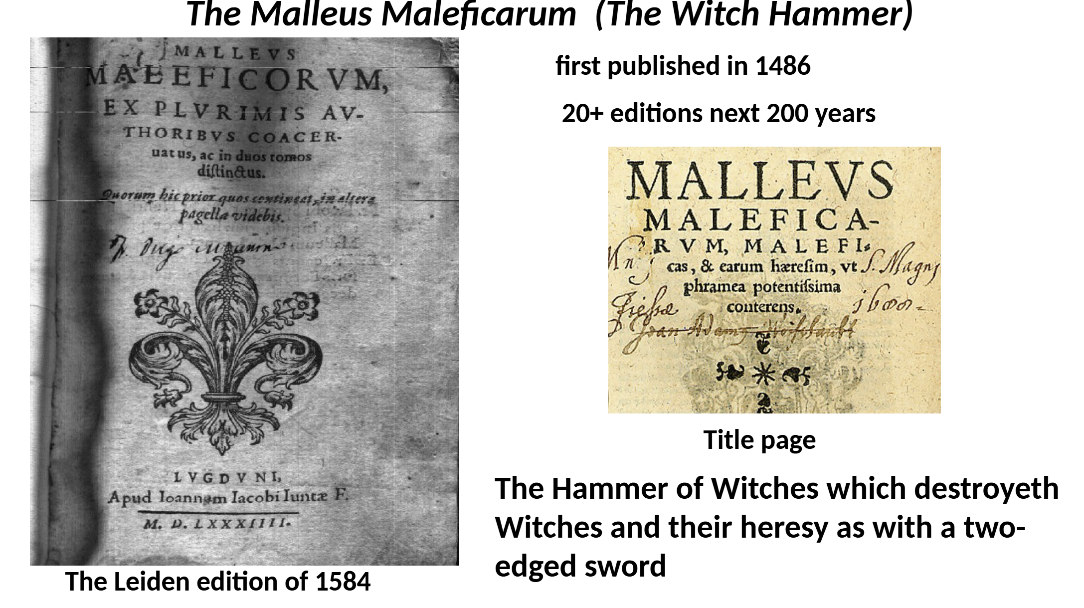 <p>The Malleus Maleficarum (The Witch Hammer)</p>