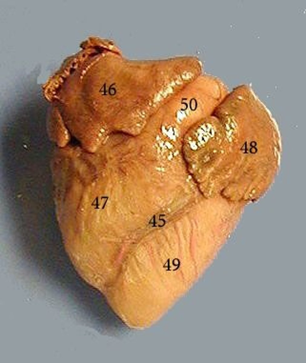 <p>45 = ?</p>