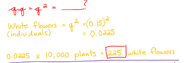 <p>225 white flowers</p>