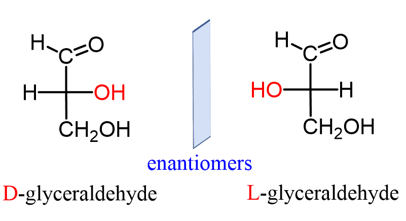 <p>Isomerism in Carbohydrates: Enantiomers </p>