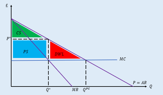 <p>PPD is very efficient, captures all surplus and there is no deadweight loss</p>