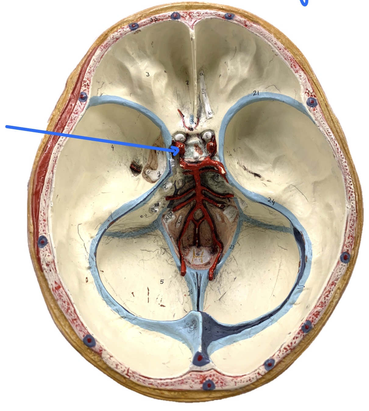 knowt flashcard image