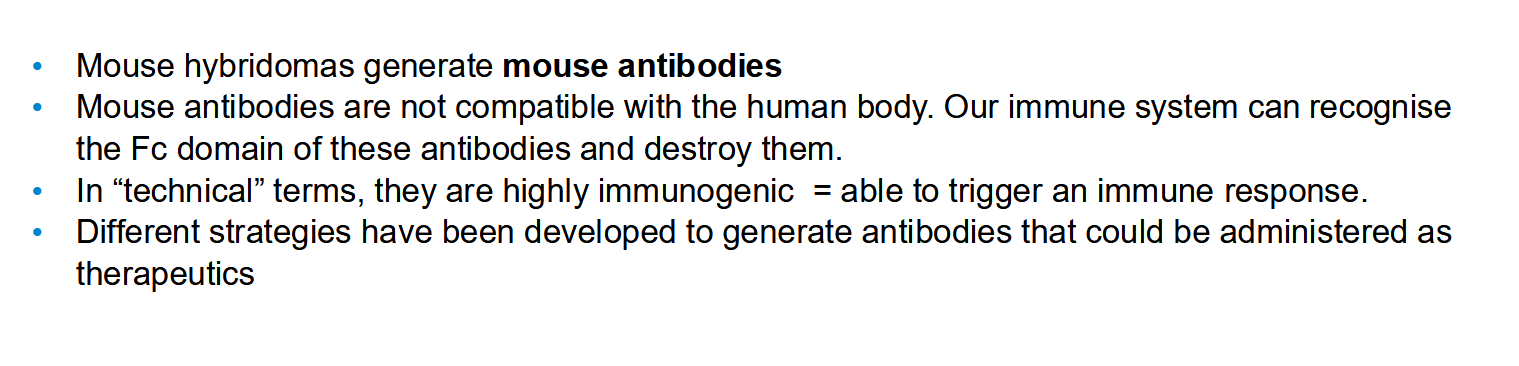 <p>Since they generate mouse antibodies, they are highly likely to generate an immune response</p>