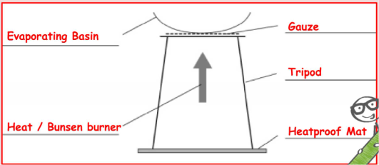 <p>AND A STIRRING ROD </p><p>You place a gauze (made of metal) on the tripod, then you place the beaker or evaporatiing basin with the solution. <br><br>Set the bunsen to a blue flame, add the solution, then the solvent will evaporate, the solute will be left behind. Finally, set the bunsen burner to a safety flame or turn it off if you’re not useing it or if no one else is going to use it.</p><p></p><p></p>