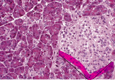 <p>what is this?</p>