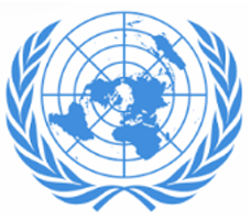 <p>VN/UN</p>
