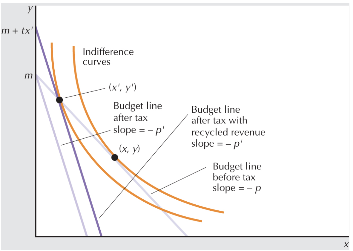 <p>rwe, carbon tax and slutsky decomposition, when good x depends on the tax, good y doe not. so its same as an increase in price of good x</p>