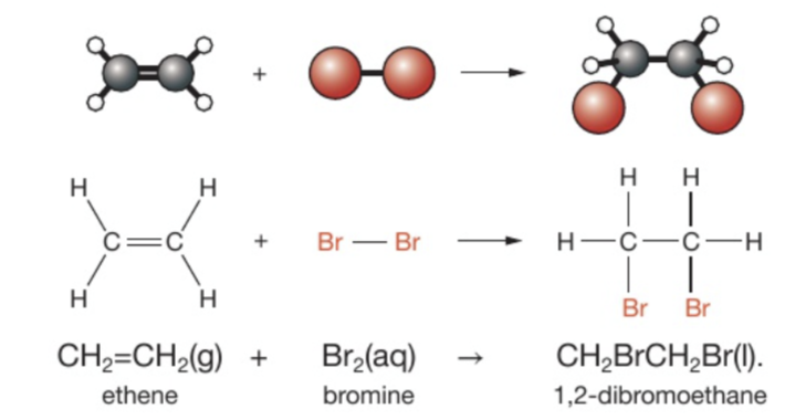<ul><li><p>It is an addition reaction</p></li><li><p>Bromine adds to ethene (o cualquier otro alkene) without the need for heat, light or a catalyst</p></li><li><p>The product name is a dibromoalk<strong>ane </strong>(changes from -ene a -ane CAREFUL WITH ENDINGS). Of this specific reaction we get 1,2-dibromoethane</p></li><li><p>If there is a reaction it turns from orange (because bromine water is orange) to colourless because 1,2-dibromoethane has formed (it is a colourless liquid)</p></li></ul><p></p>