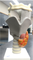<p>What is this and what does it do?</p>