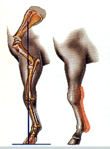 <p>what is this an image of</p>