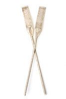 <p>a long pole with a flat blade used to row a boat. He pulled hard on the ___.</p>