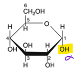 <p>when the hydroxyl group of a cyclized sugar’s anomeric carbon is projected down </p>