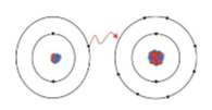 <p>what is this an image of</p>
