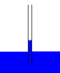 <p>tendency of water to rise in a thin tube against the force of gravity, and due of the cohesion and adhesion forces of attraction.</p>