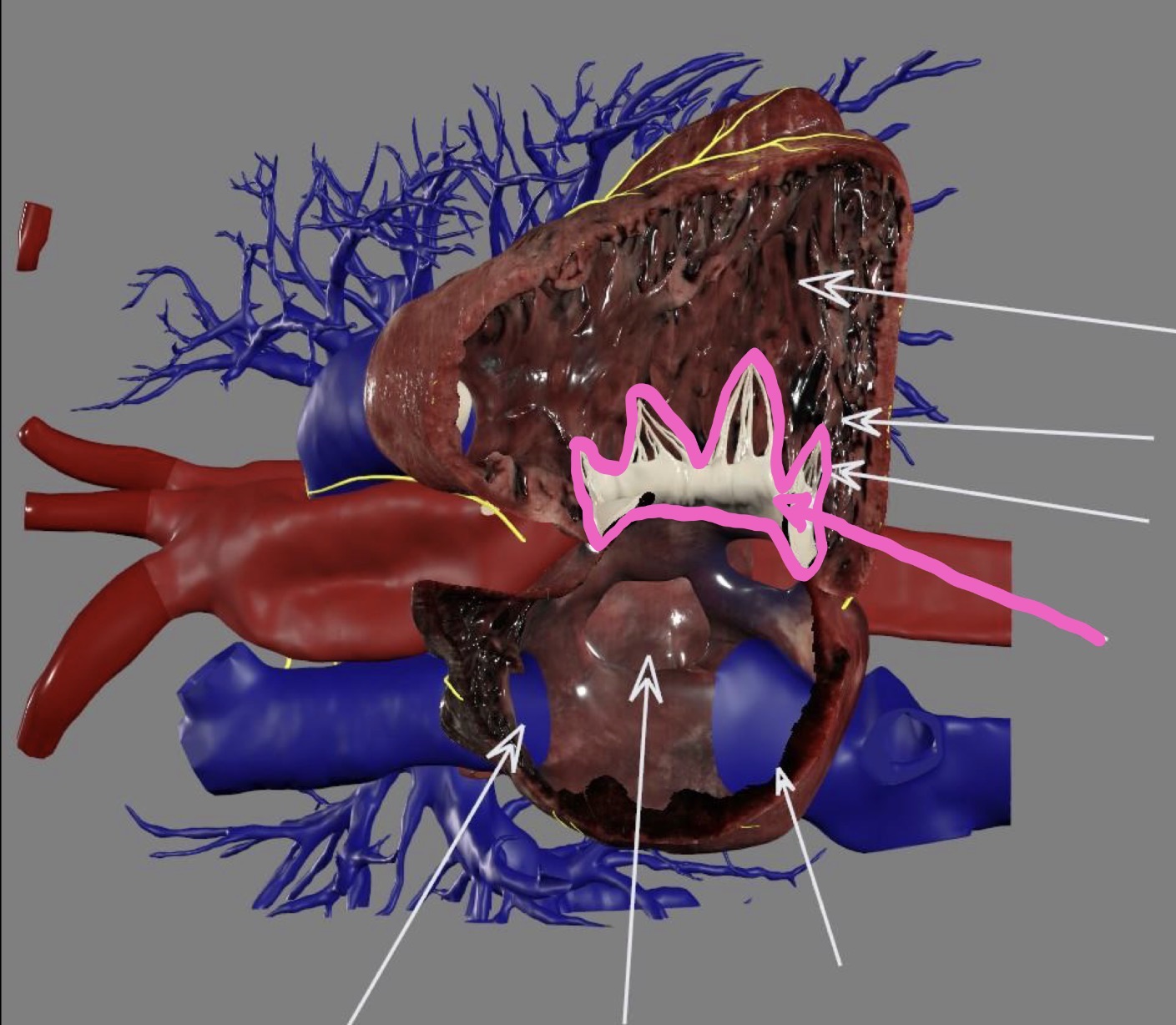 <p>What’s the highlighted area?</p>