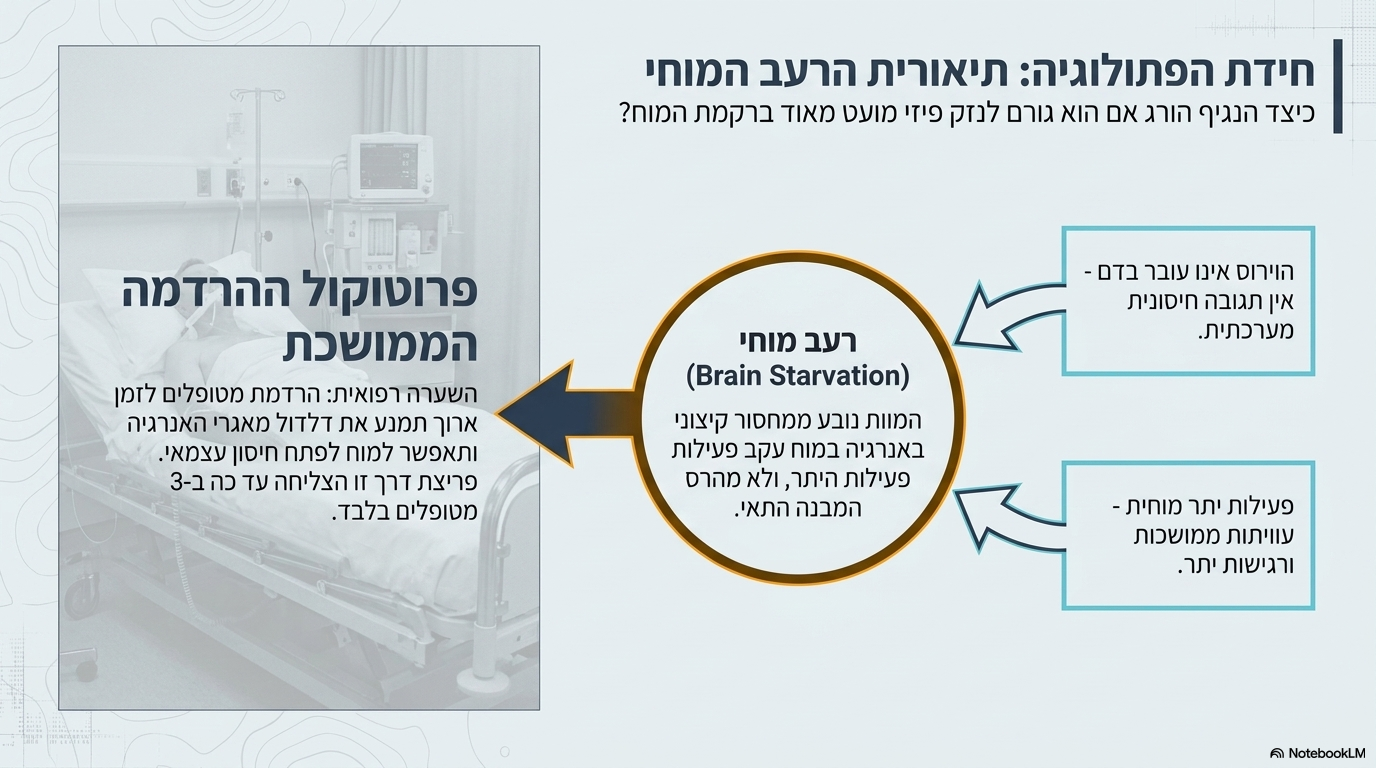 <ul><li><p><strong>התצפית הפתולוגית:</strong> פתולוגים הבחינו כי הנזק המבני הישיר במוח של חולי כלבת הוא מועט מאוד.</p></li><li><p><strong>השערה 1 (היעדר תגובה חיסונית בזמן):</strong> הועלה חשד שהנזק המועט נובע מכך שהווירוס אינו עובר בדם בדרכו למוח, ולכן מערכת החיסון אינה מגיבה בזמן.</p></li><li><p><strong>השערה 2 ("רעב מוחי"):</strong> הועלתה השערה שהמוות נגרם בפועל מעוויתות ממושכות, פעילות-יתר קיצונית של המוח ומחסור חמור באנרגיה (דלדול משאבים).</p></li><li><p><strong>הקונספט הטיפולי:</strong> אם ירדימו את המטופל לזמן ארוך מאוד, המוח יישמר מפני דלדול מאגרי האנרגיה, ובזמן זה הגוף יספיק לפתח תגובה חיסונית עצמאית בתוך המוח.</p></li><li><p><strong>שורה תחתונה:</strong> שיטה זו קשה מאוד ליישום ועד כה הצליחו לטפל באמצעותה ב-<strong>3 אנשים בלבד</strong></p></li></ul><p></p>