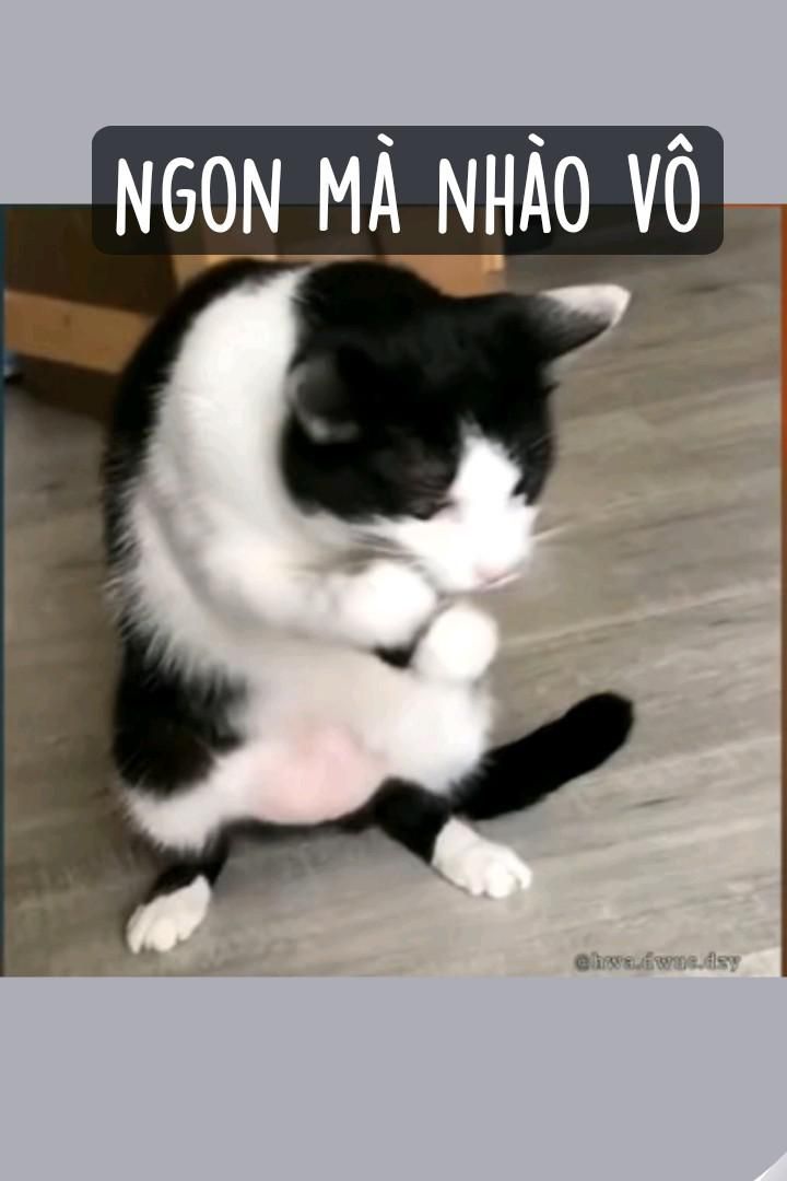 <p>lái</p><p>đến, di chuyển từ nơi khác đến một địa điểm/ để (làm gì đó)</p><p><strong>我来介绍一下儿。</strong>(Wǒ lái jièshào yíxiàr. - Để tôi giới thiệu một chút.)</p><p><strong>你来北京吗？</strong>(Nǐ lái Běijīng ma? - Bạn có đến Bắc Kinh không?)</p>