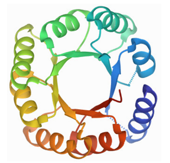 <p>What is this secondary motif?</p>