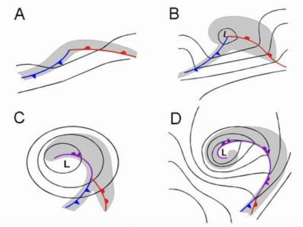 <ul><li><p>Develops at boundary between cold polar air and warm subtropical air</p></li><li><p>Upper air flow causes cyclonic surface conditions</p></li><li><p>Difficult to predict more than a week in advance</p></li></ul><p></p>