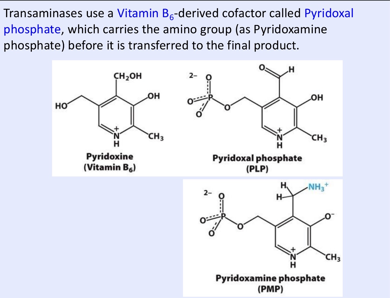 <p>The vitamin is B6 (pyridoxine), its derivative is PLP</p>