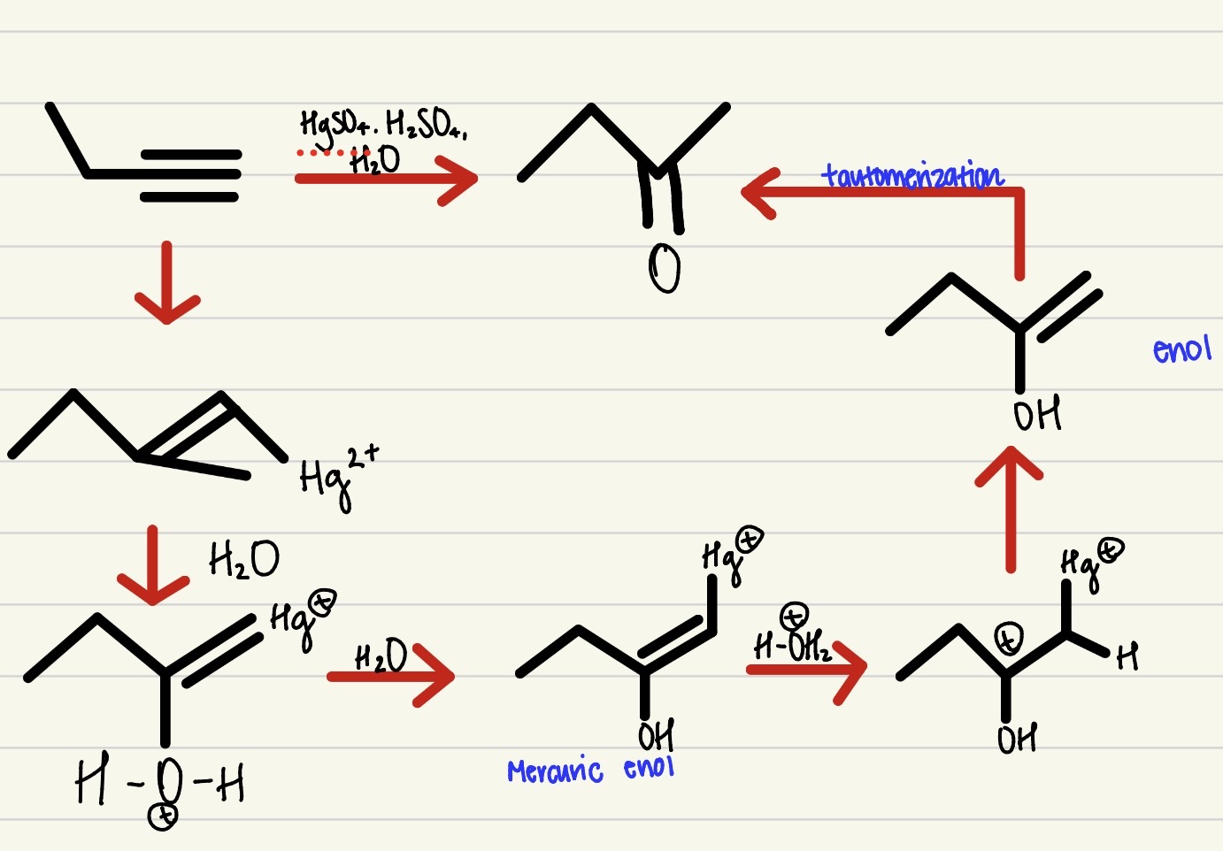 <p>1 step process, an alkyne with H2O, H2SO4, and HgSO4 to create an alcohol, subject to go through tautomerization- mark regio-selectivity and no stereo-specificity</p>