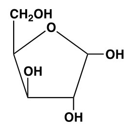<p>What Carbohydrate is this, and what is its abbreviation? </p>