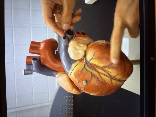 term image