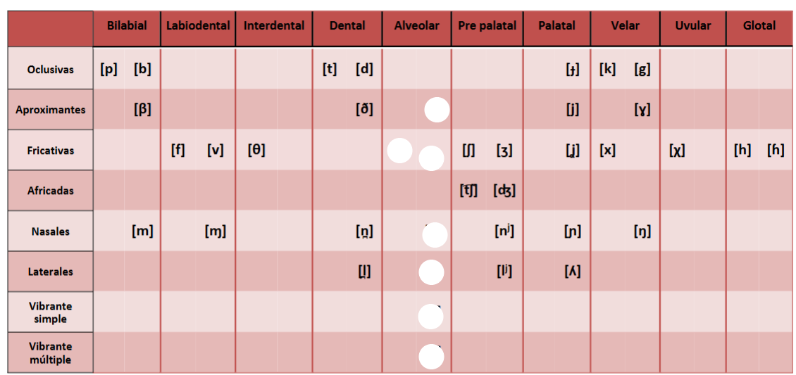 <p>Alveolar</p>