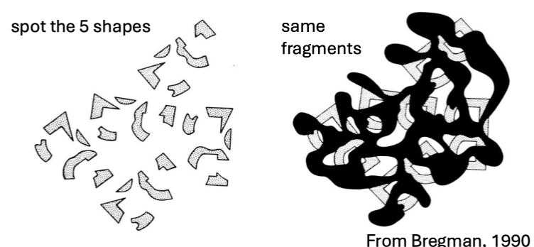 <p>visual ability to perceive a whole, continuous object even when parts of it are hidden or occluded by another object in the foreground. The human brain automatically fills in the missing information so you perceive the object as a coherent shape.</p>