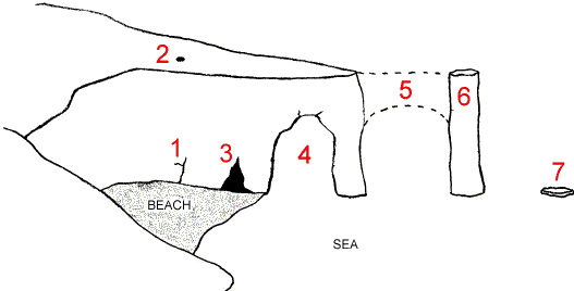 <p>Describe the formation of arches, stacks and stumps at stage 7?</p>