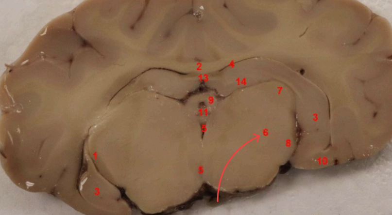 <p>what is this </p>