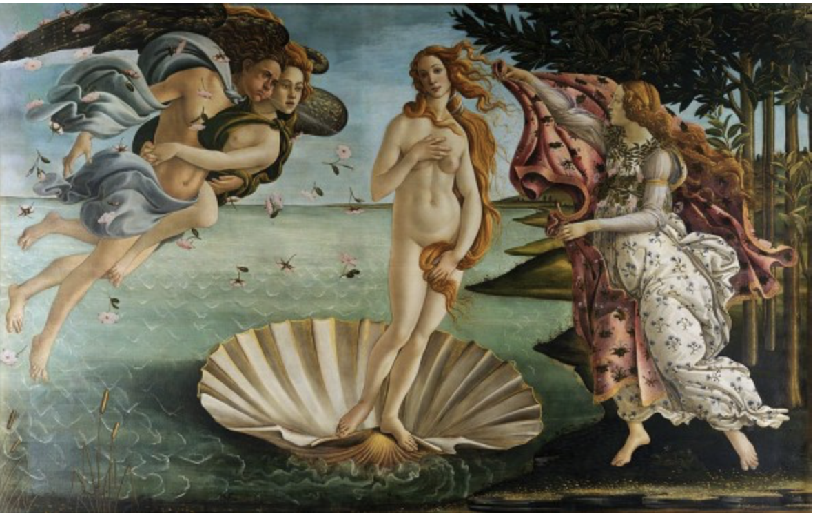 <p>Image</p>