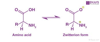 <p>What is a zwitterion?</p>