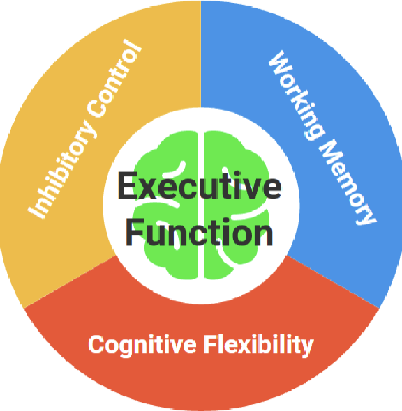 <p>Executive Functions </p>