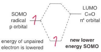 <p>Radicals adjacent to an electron withdrawing group, therefore the SOMO is lower energy. This means they are more willing to accept an electron.</p><ul><li><p>These groups include -I and -M groups.</p></li></ul><p></p>