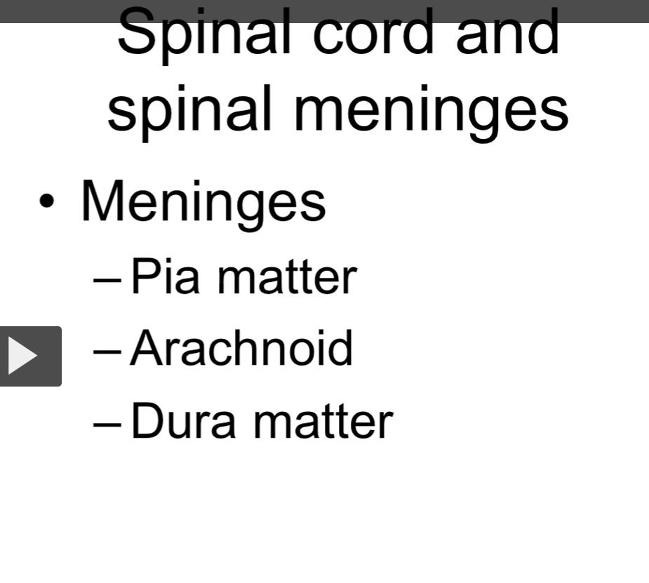 <p>The meninges “membranes” of the brain are the </p><ol><li><p>dura matter</p></li><li><p>arachnoid matter</p></li><li><p>pia matter</p></li></ol><p></p>