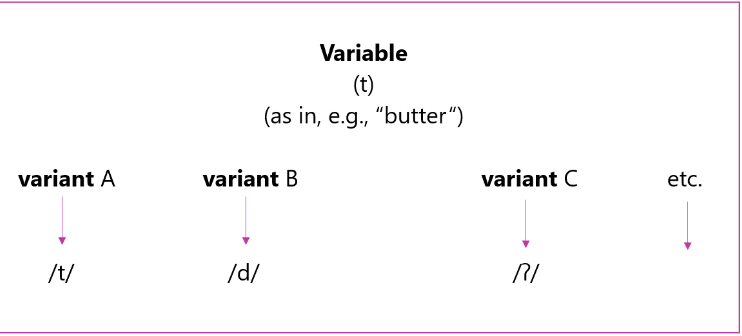 <p>any linguistic element that has more than one physical realization in a given speech</p><p>community</p>