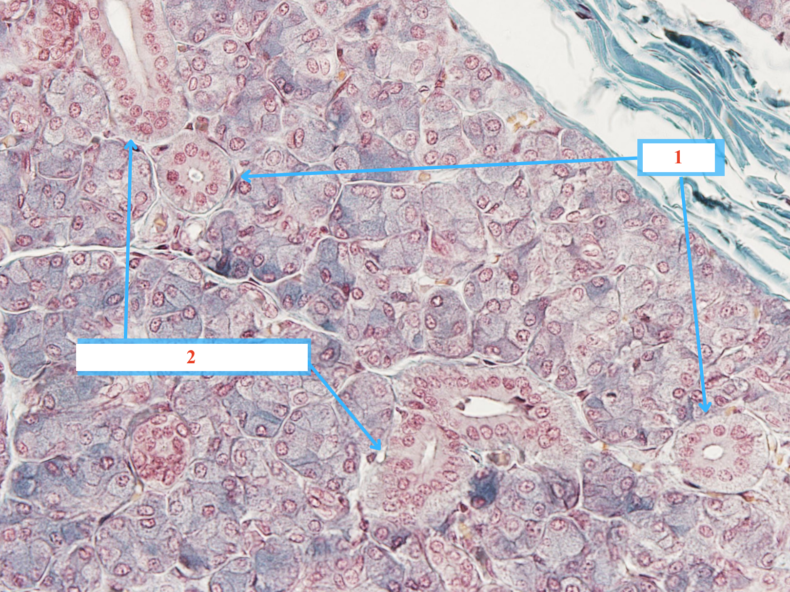 <p>Cấu trúc gì ?</p>
