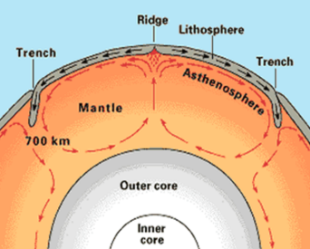 <p>The crust is divided into tectonic plates which are moving due to convection currents in the mantle</p><ol><li><p><span style="background-color: transparent; font-family: "Comic Sans MS", sans-serif;"><strong>Convection</strong> <strong>Currents</strong></span></p></li></ol><p>Molten rock (magma) in the mantle is heated by the outer core. This causes the rocks to become less dense and rise. When the rocks reach the crust, they spread outwards, dragging the tectonic plates with them. When the rock cools it sinks back down.</p><p>This process is repeated many times and the circular motion is called a convection current.</p><ol start="2"><li><p><span style="background-color: transparent; font-family: "Comic Sans MS", sans-serif;"><strong><u>Ridge Push and Slab Pull</u></strong></span></p></li></ol><p><span style="background-color: transparent; font-family: "Comic Sans MS", sans-serif;">Ridge push is when rising magma at constructive plate margins pushes the plates apart.</span></p><p><span style="background-color: transparent; font-family: "Comic Sans MS", sans-serif;">Slab pull is when the plates are pulled down into the mantle under the force of gravity</span></p>
