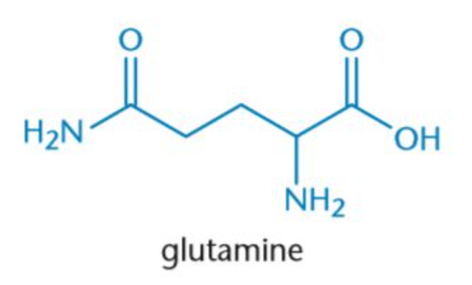 <p>Gln, Q</p>